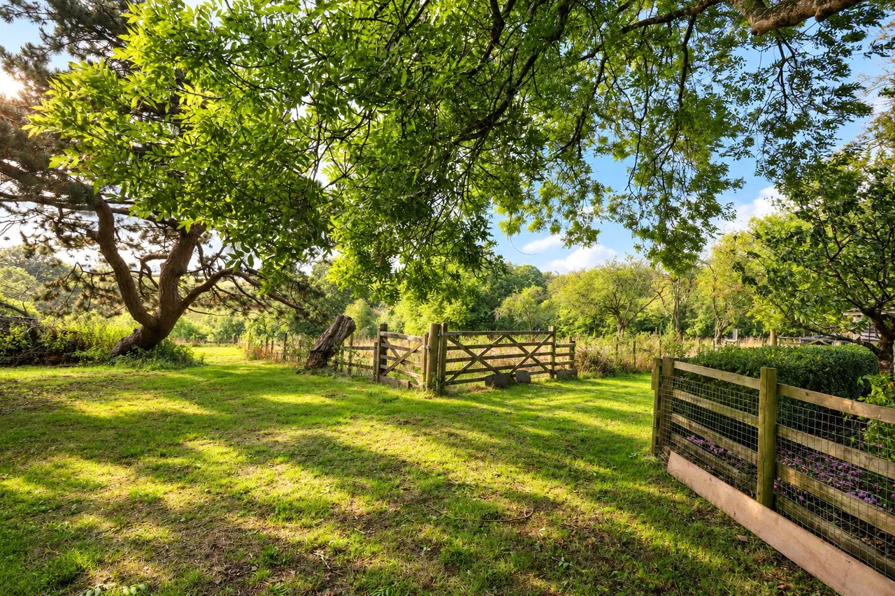 Chulmleigh, Devon, photo 55