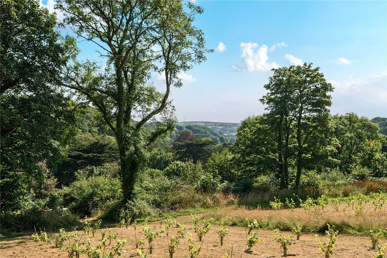 Lowertown, Helston, TR13, photo 21