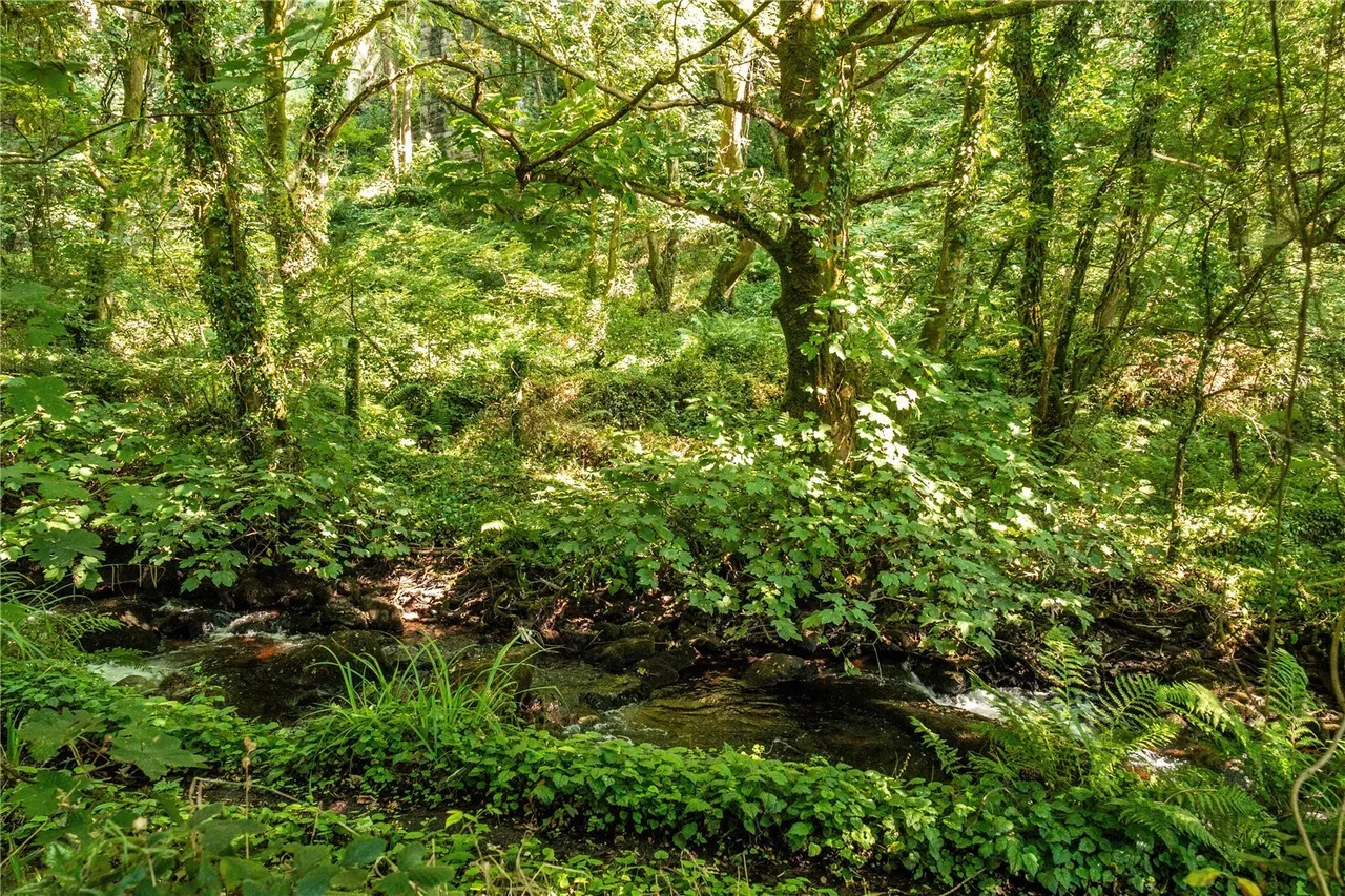 Lowertown, Helston, TR13, photo 13
