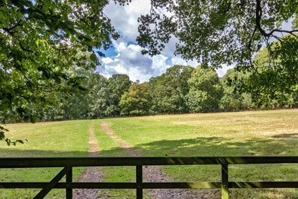 Hinksden Road, Benenden, TN17, photo 19