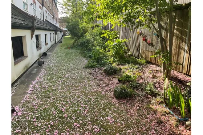Vauxhall Grove, London, SW8, photo 21