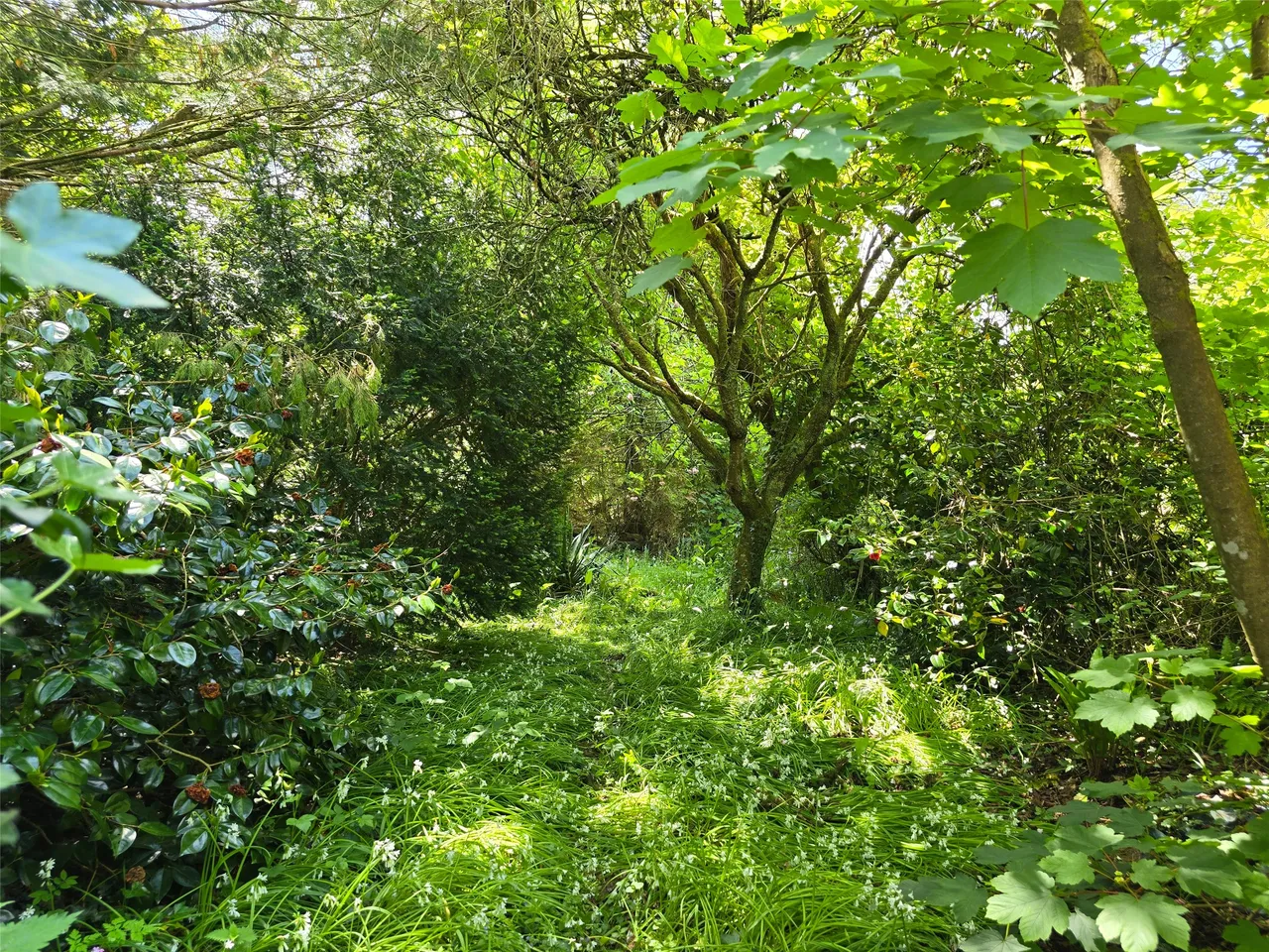 North Tamerton, Holsworthy, EX22, photo 25