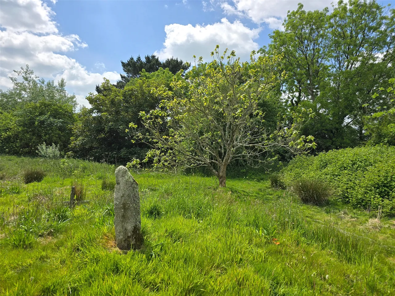 North Tamerton, Holsworthy, EX22, photo 22