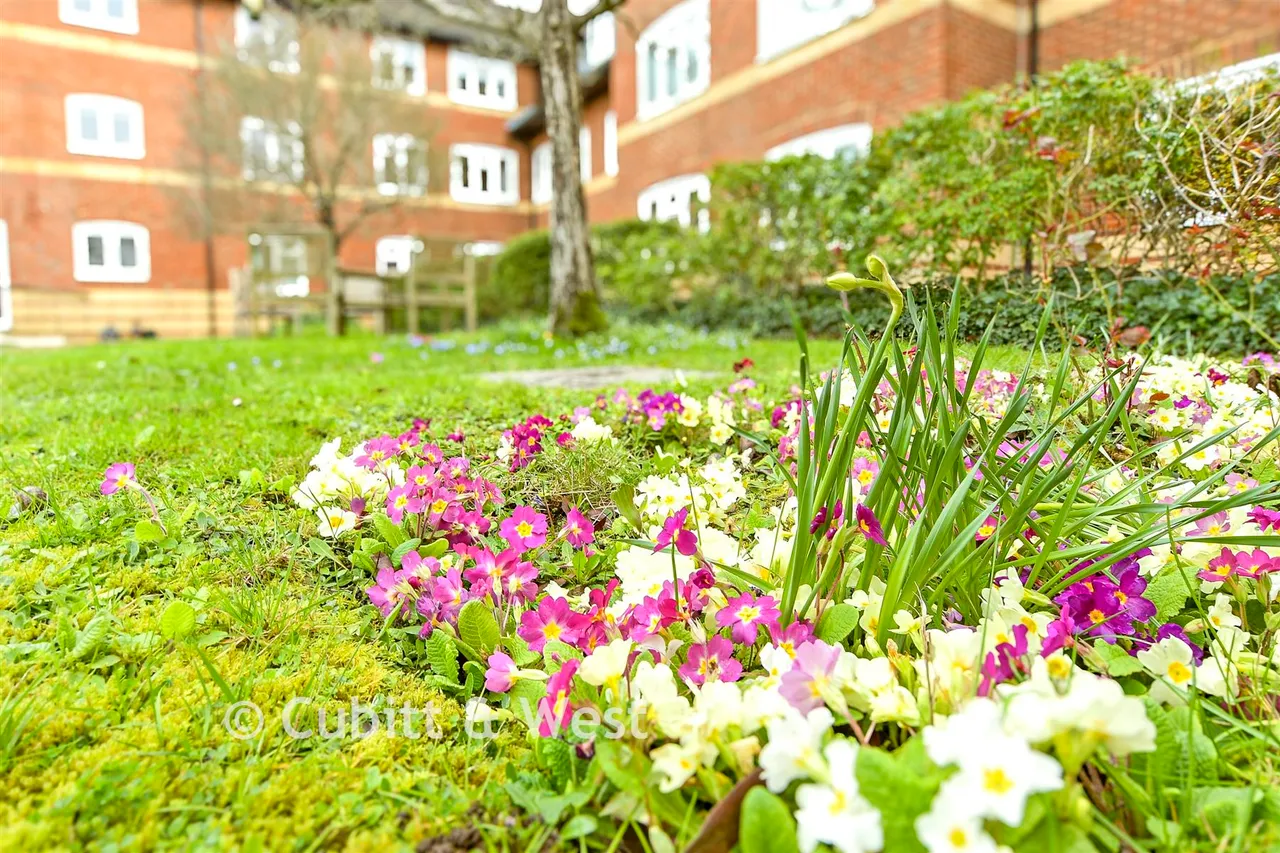 Station Road, Dorking, RH4, photo 12
