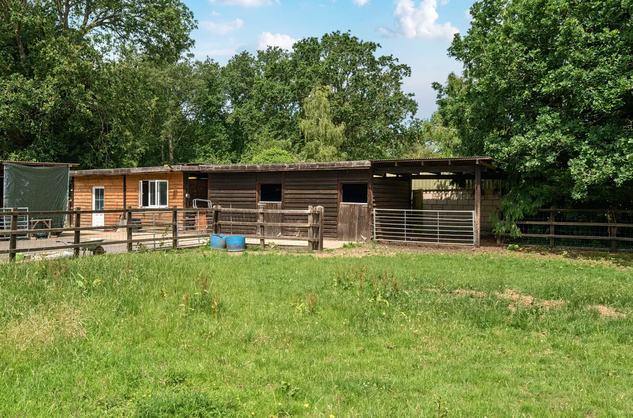 Hurst Lane, Egham, TW20, photo 22