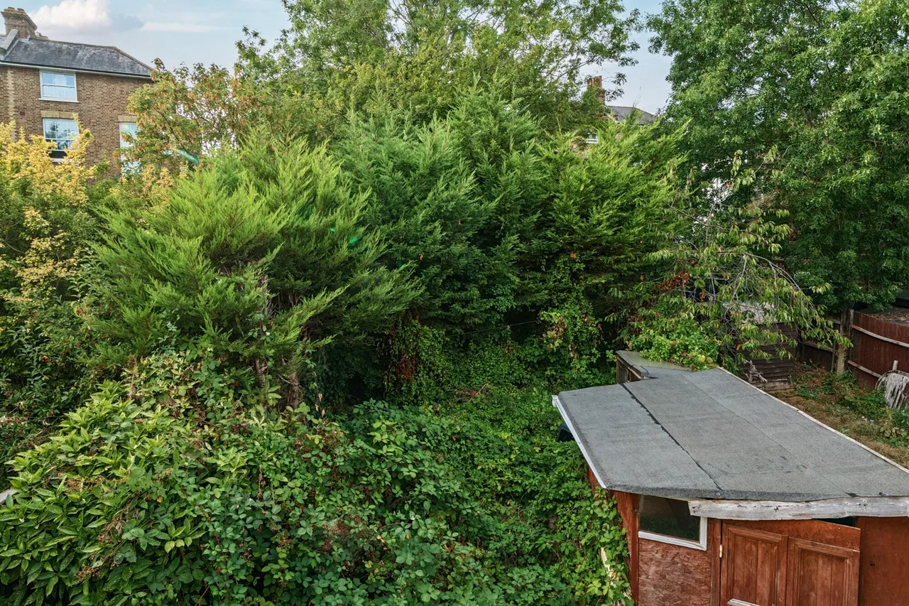 Madeline Road, SE20, photo 4
