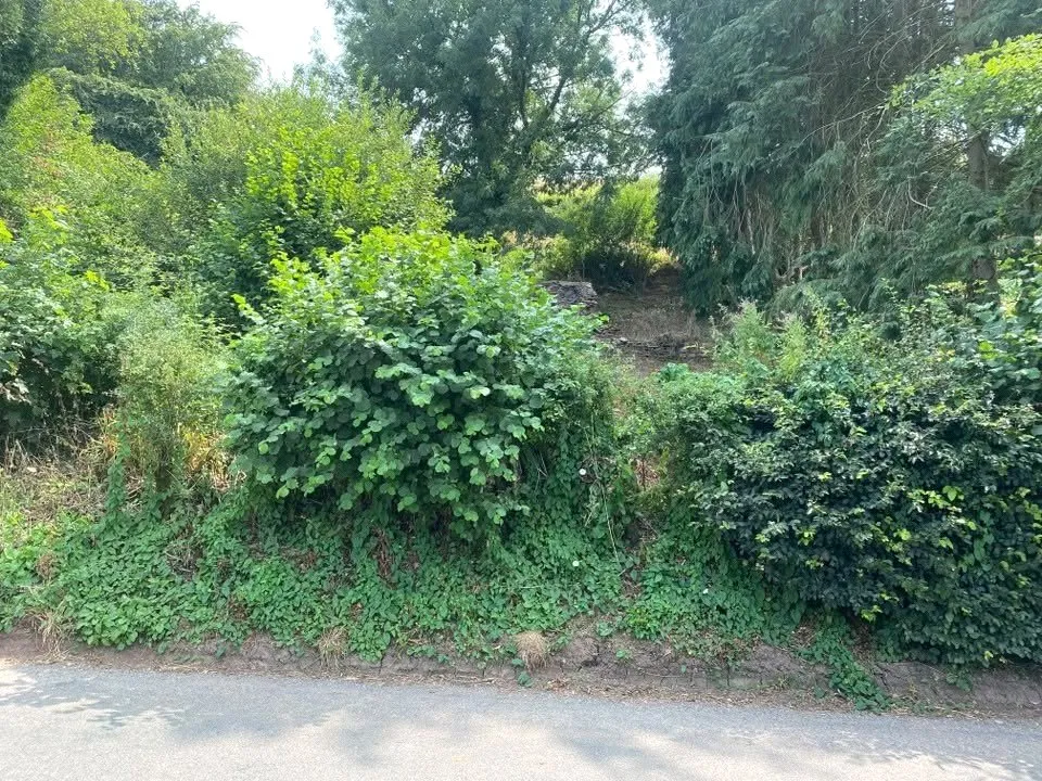 Maundown, Nr Wiveliscombe, TA4, photo 4