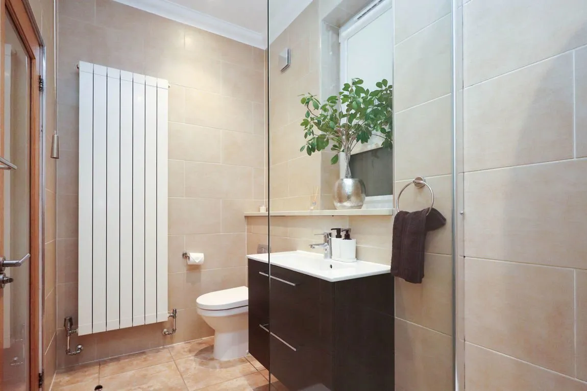 Balgrochan Terrace, Bathgate, EH48 1QA, photo 8
