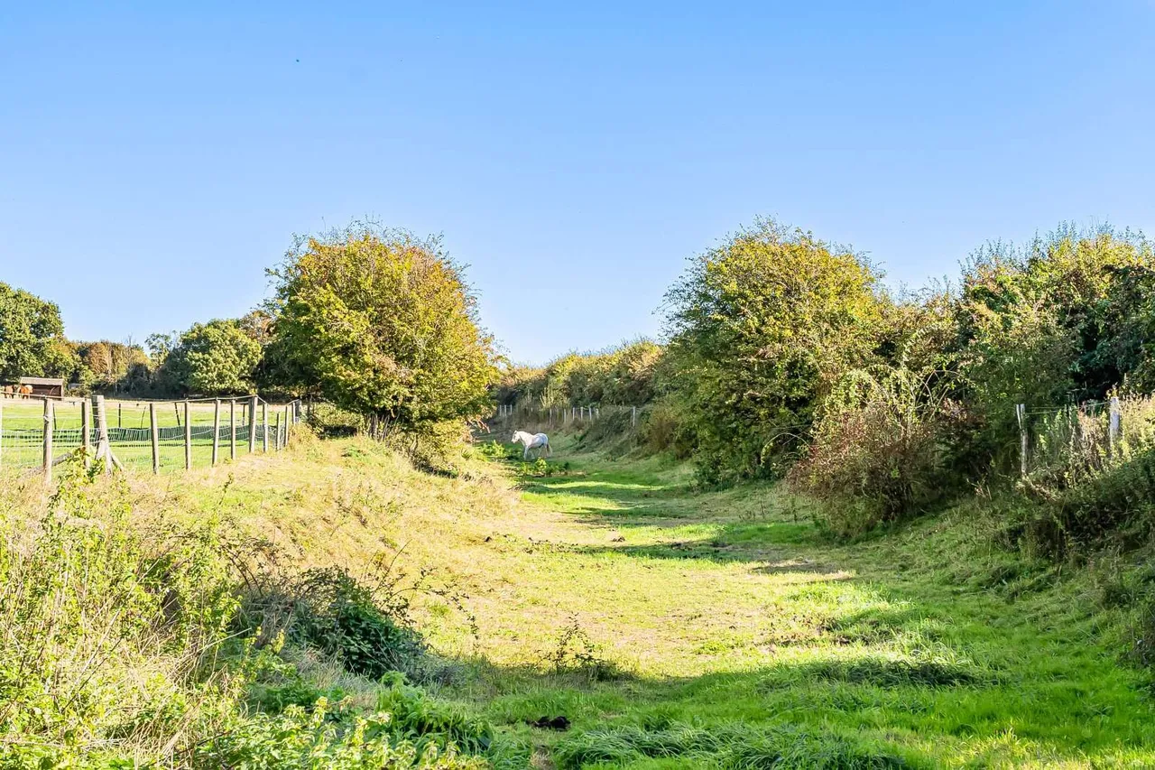 Hill Lane, Barnham, PO22, photo 25