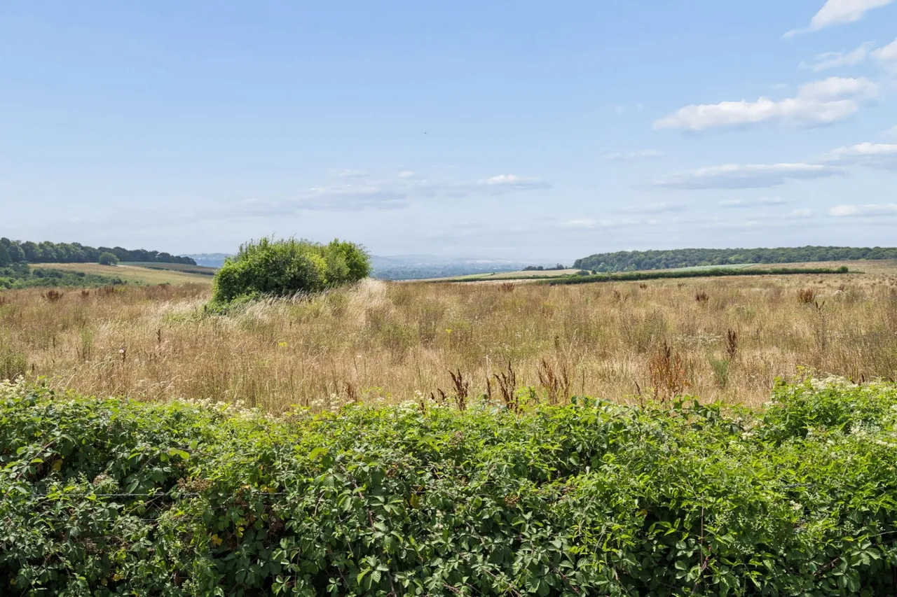 Heath End Road, Flackwell Heath, HP10, photo 4