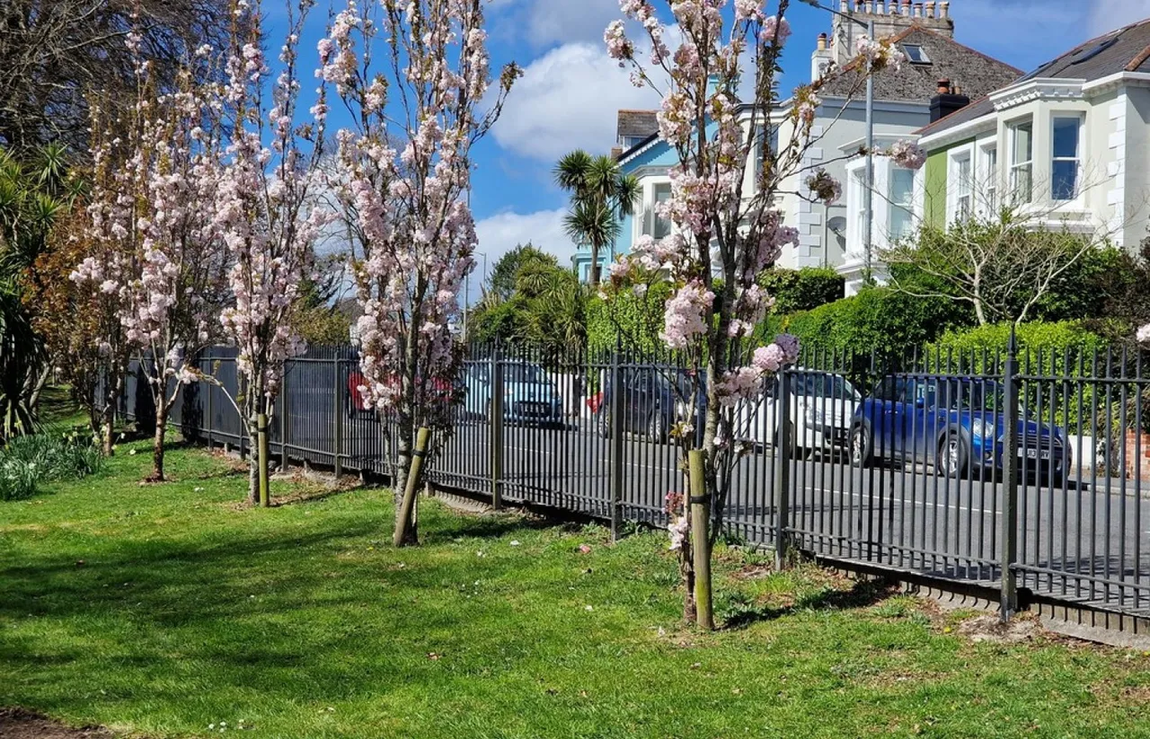 Brook Court, photo 11