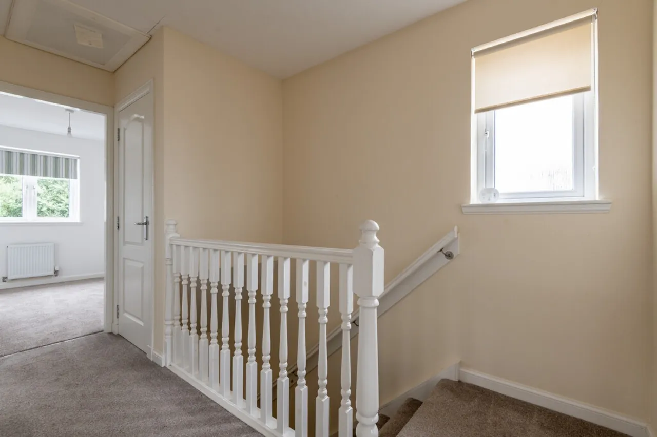 Oakley Road, Saline, photo 7