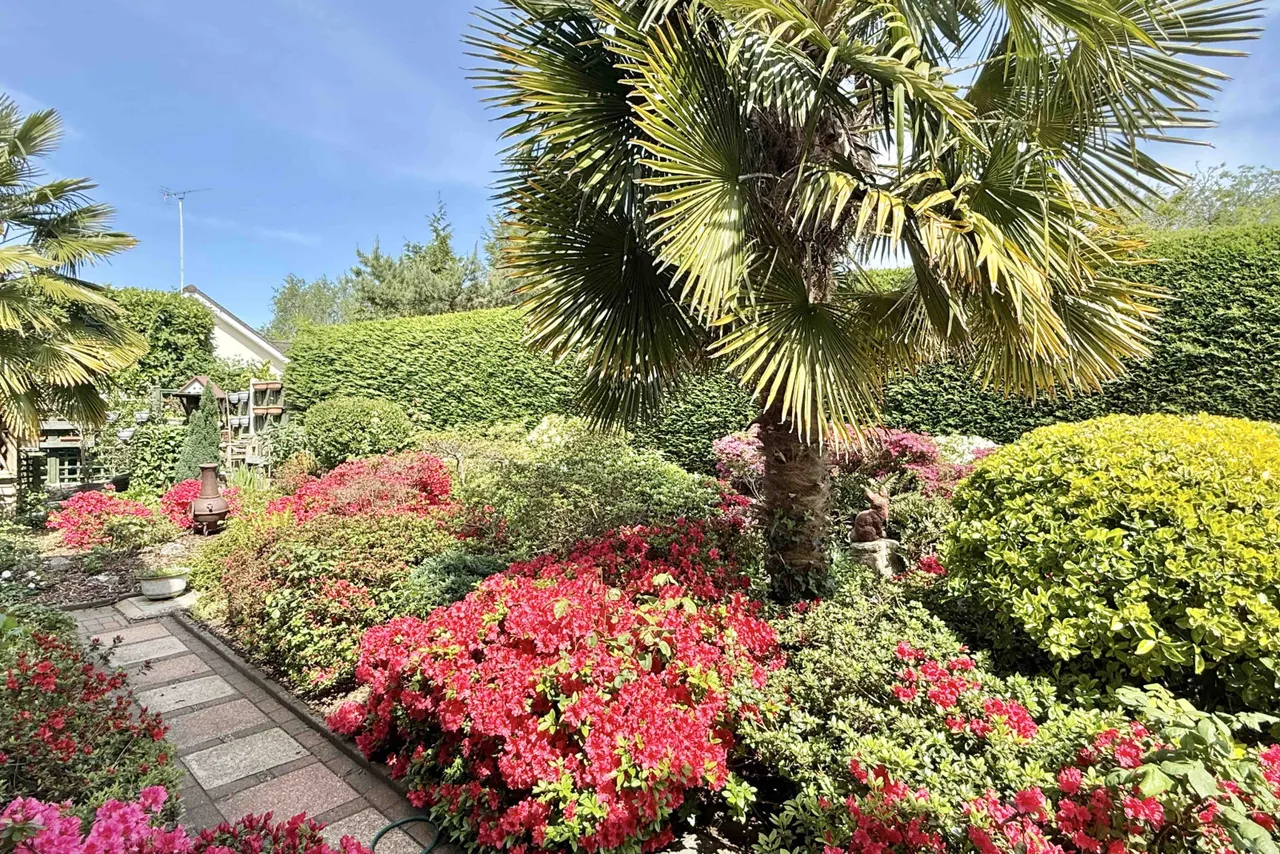 Laurel Close, St Leonards, BH24, photo 30