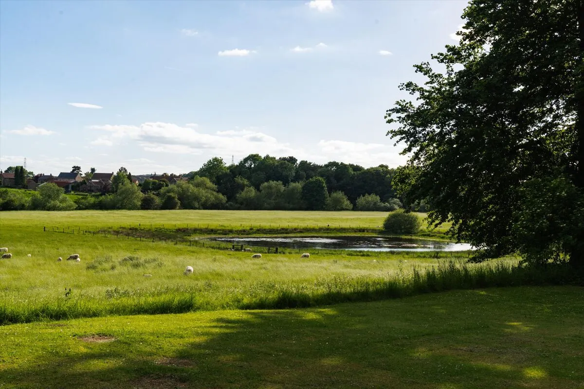 Ribston Park, Little Ribston, LS22, photo 31