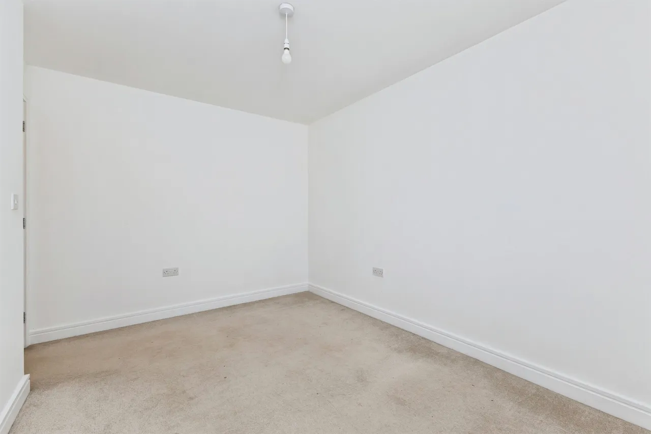 Great Tree View, Paignton, TQ4, photo 7