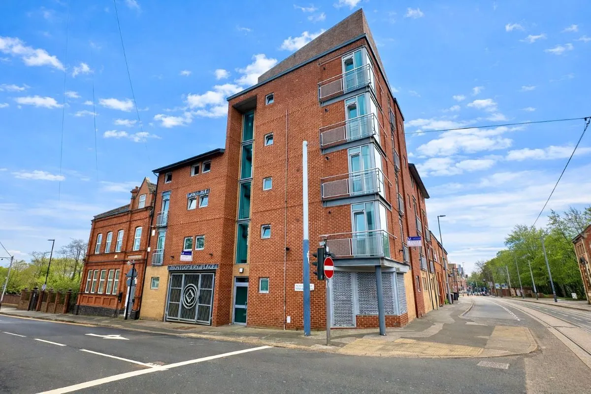 Montgomery Terrace Road, photo 15
