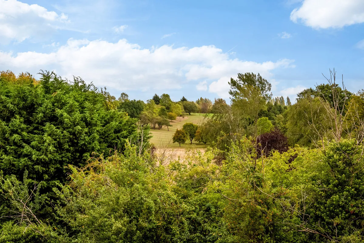 Anderson Drive, Whitnash, CV31, photo 28