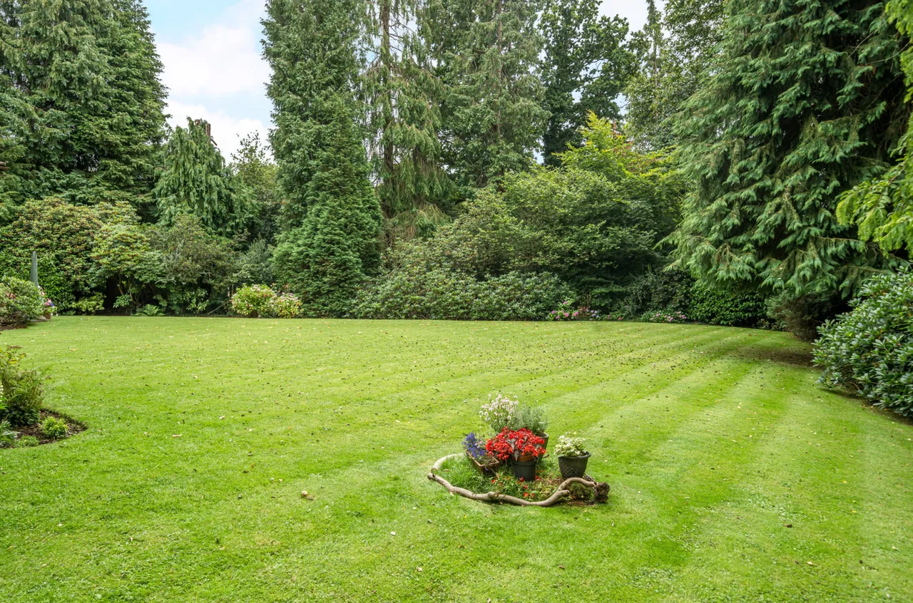 Crossways Road, Grayshott, GU26, photo 6