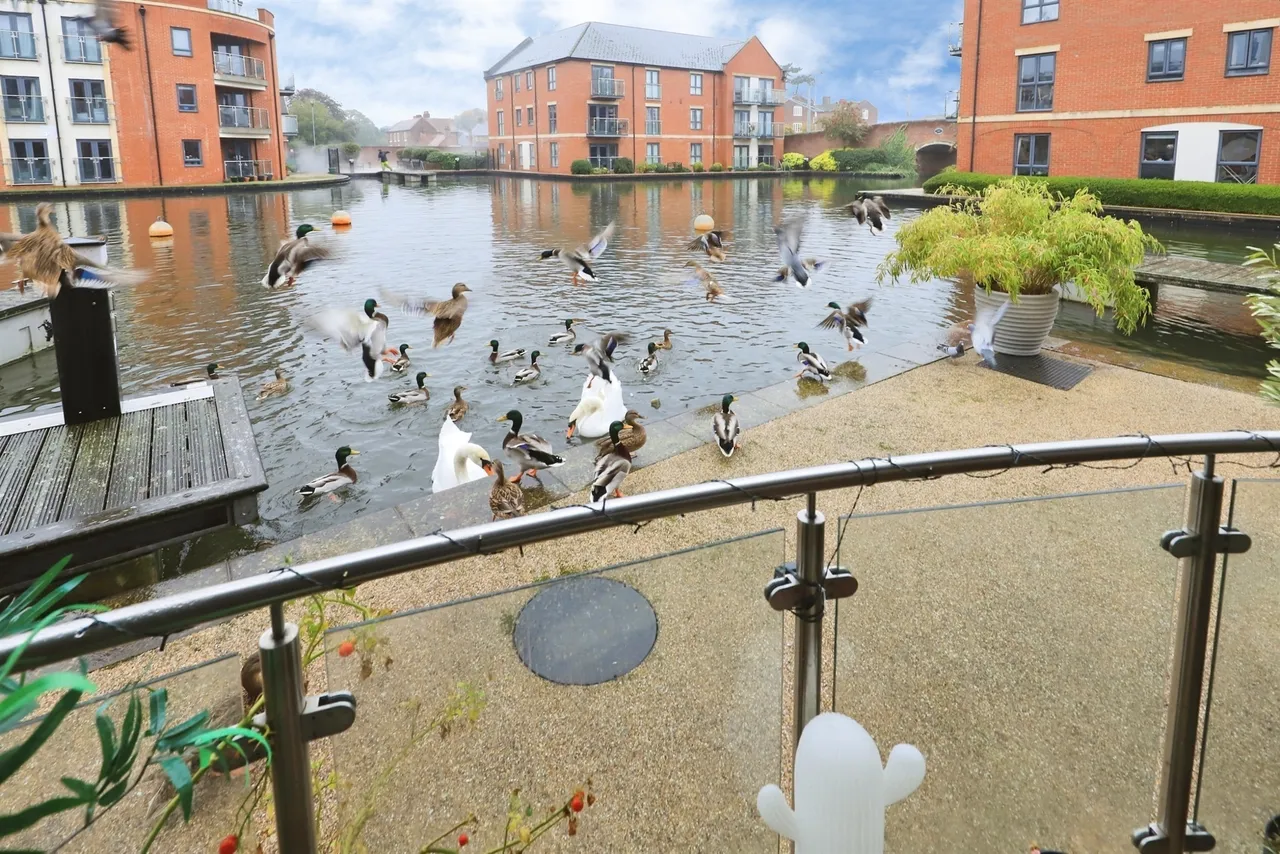 Larch Way, Stourport-On-Severn, DY13, photo 6