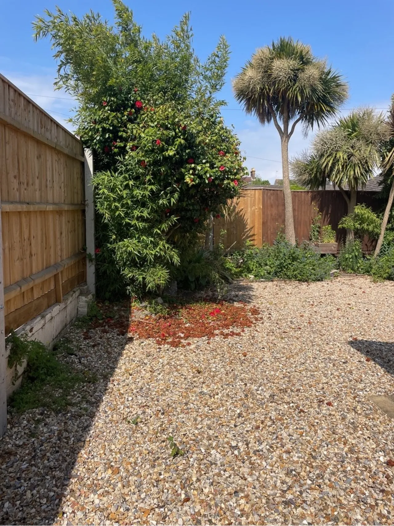 Beresford Road, Poole, BH12, photo 9