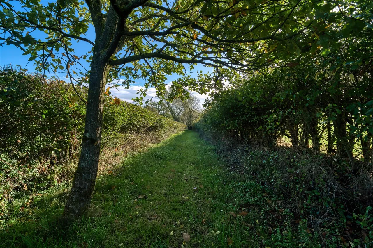Terrace Lane, Stour Provost, photo 16