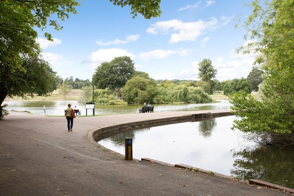 Abbey Mill Lane St. Albans AL3, photo 10