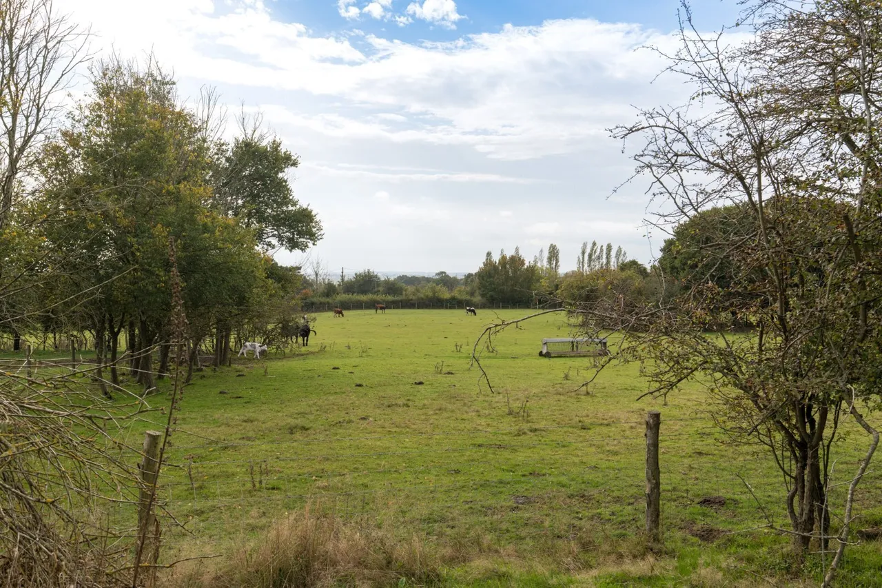 Church Road, Wickham Bishops, CM8, photo 44