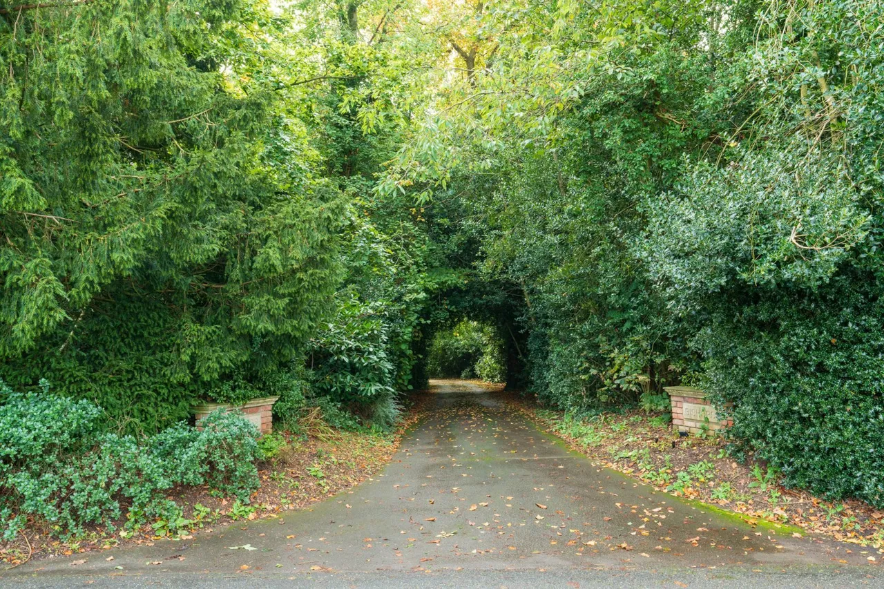 Church Road, Wickham Bishops, CM8, photo 57