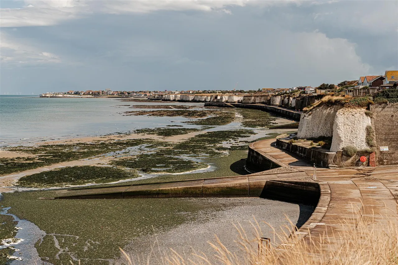 Beach Avenue, Birchington, Kent, CT7 9JS, photo 19