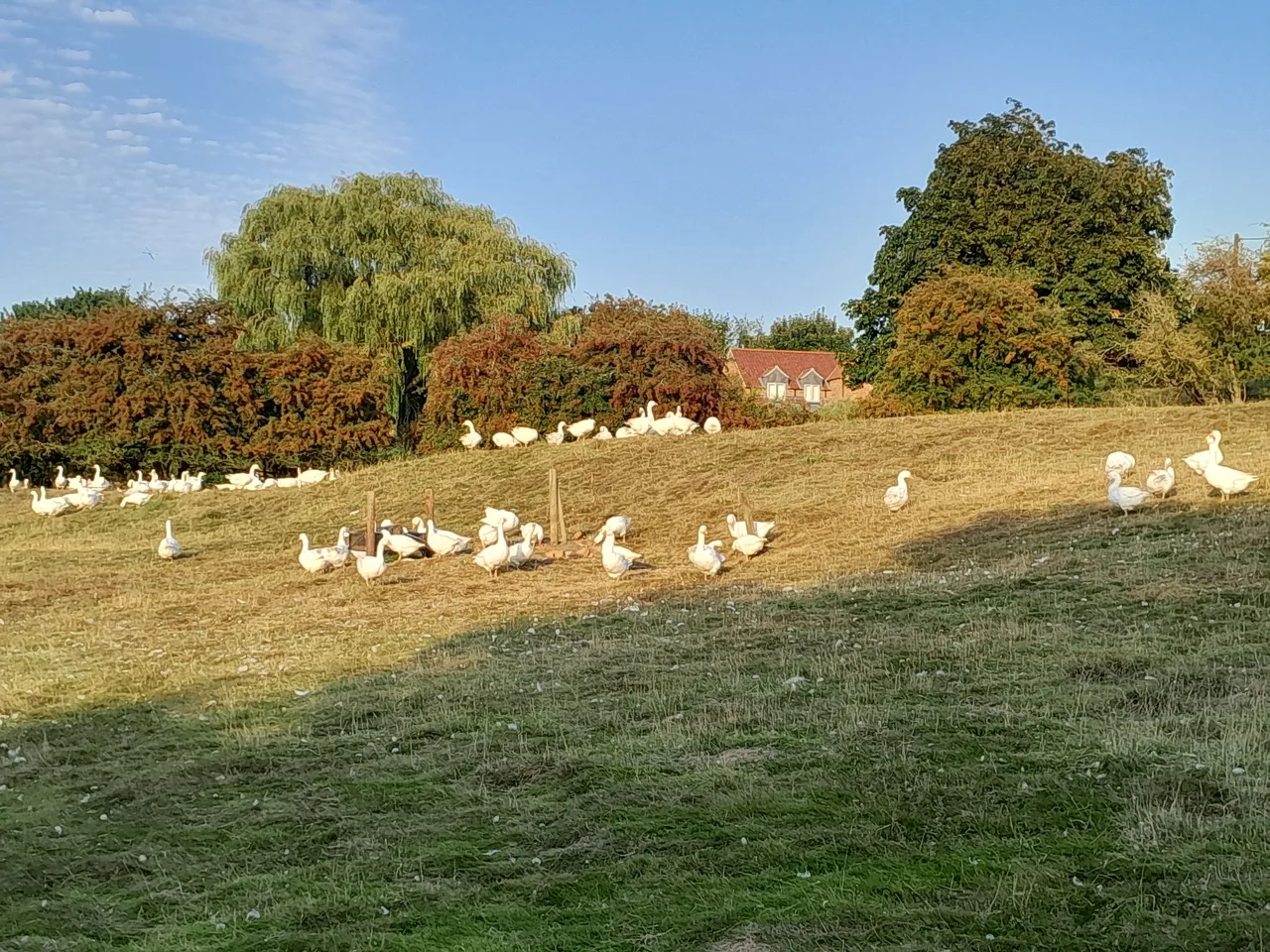 Church Lane, Croxton Kerrial, NG32, photo 9