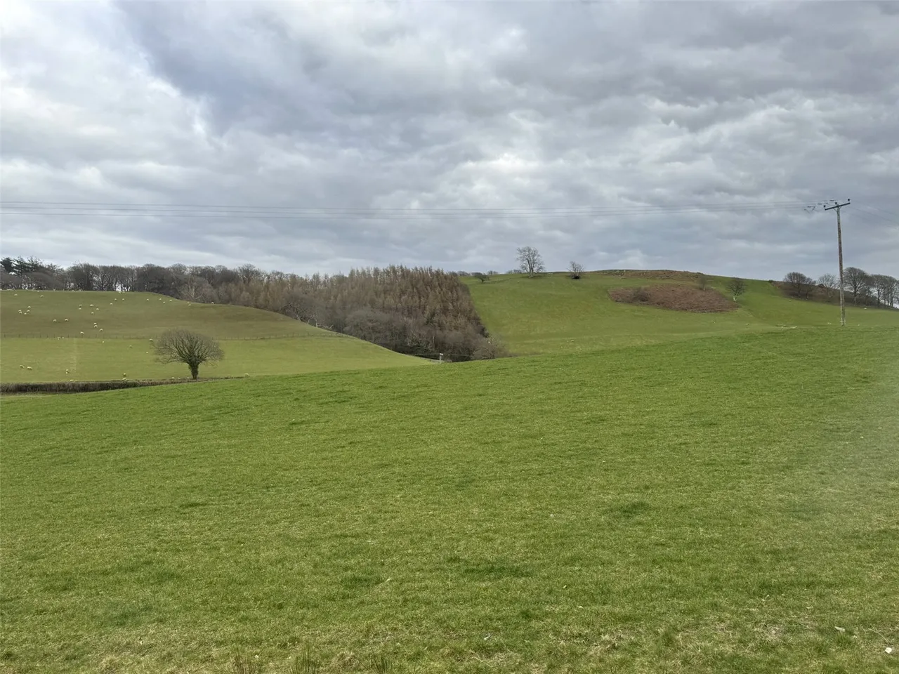 Pennal, Machynlleth, photo 16