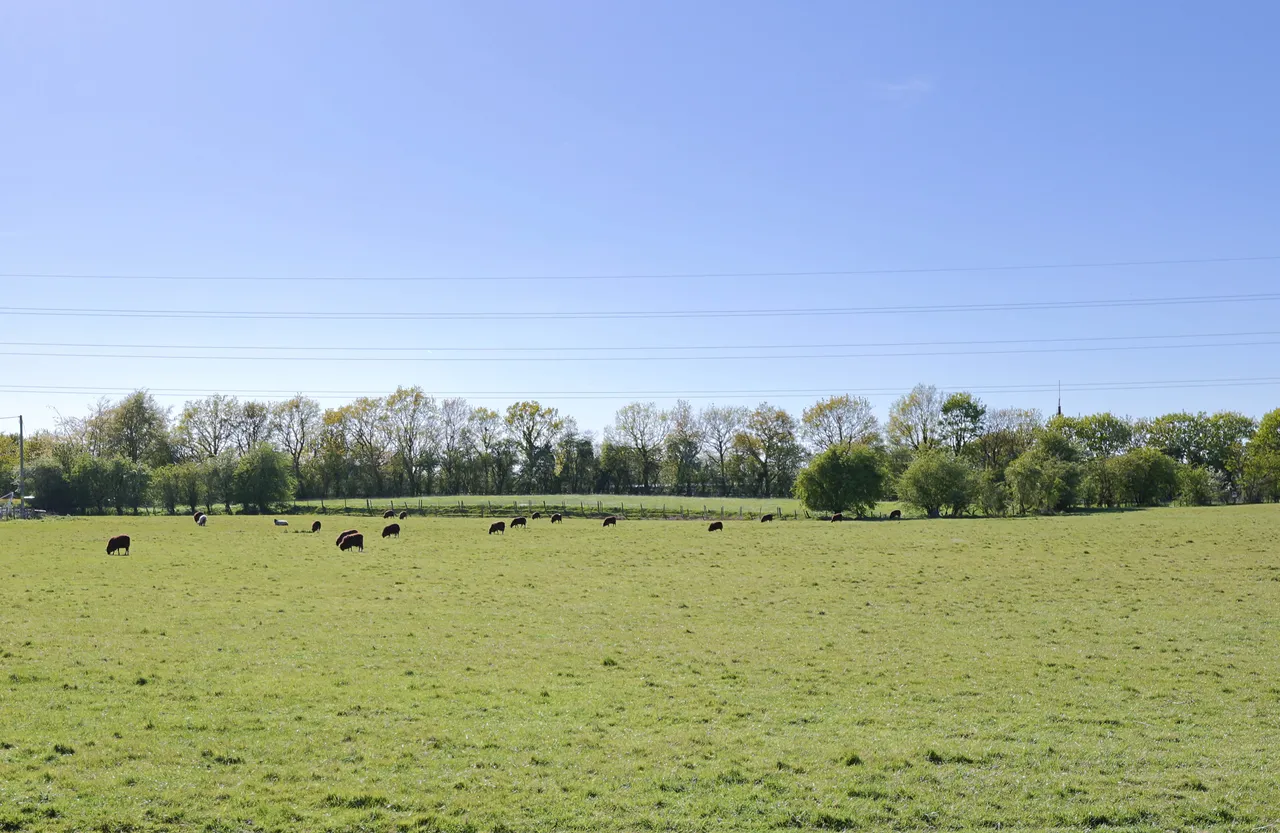 Preston Road, Charnock Richard, photo 6
