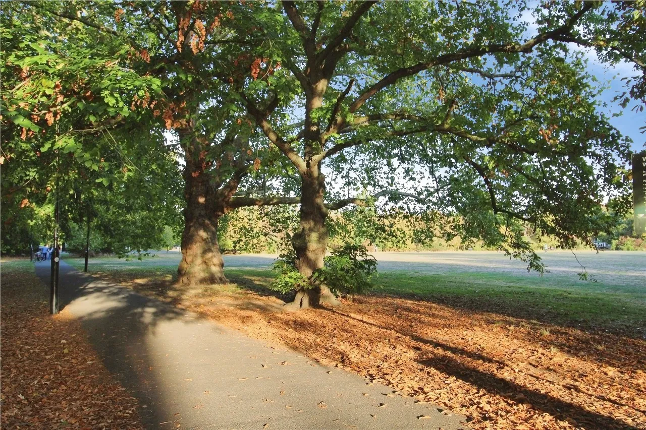 Wandsworth Common West Side, London, SW18, photo 9
