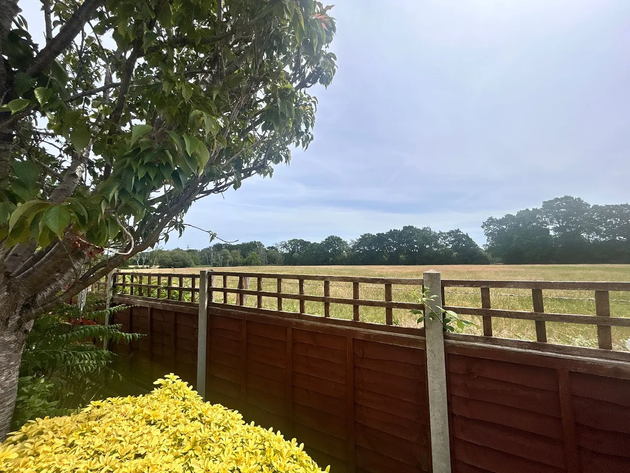 Compton Crescent, West Moors, BH22, photo 17