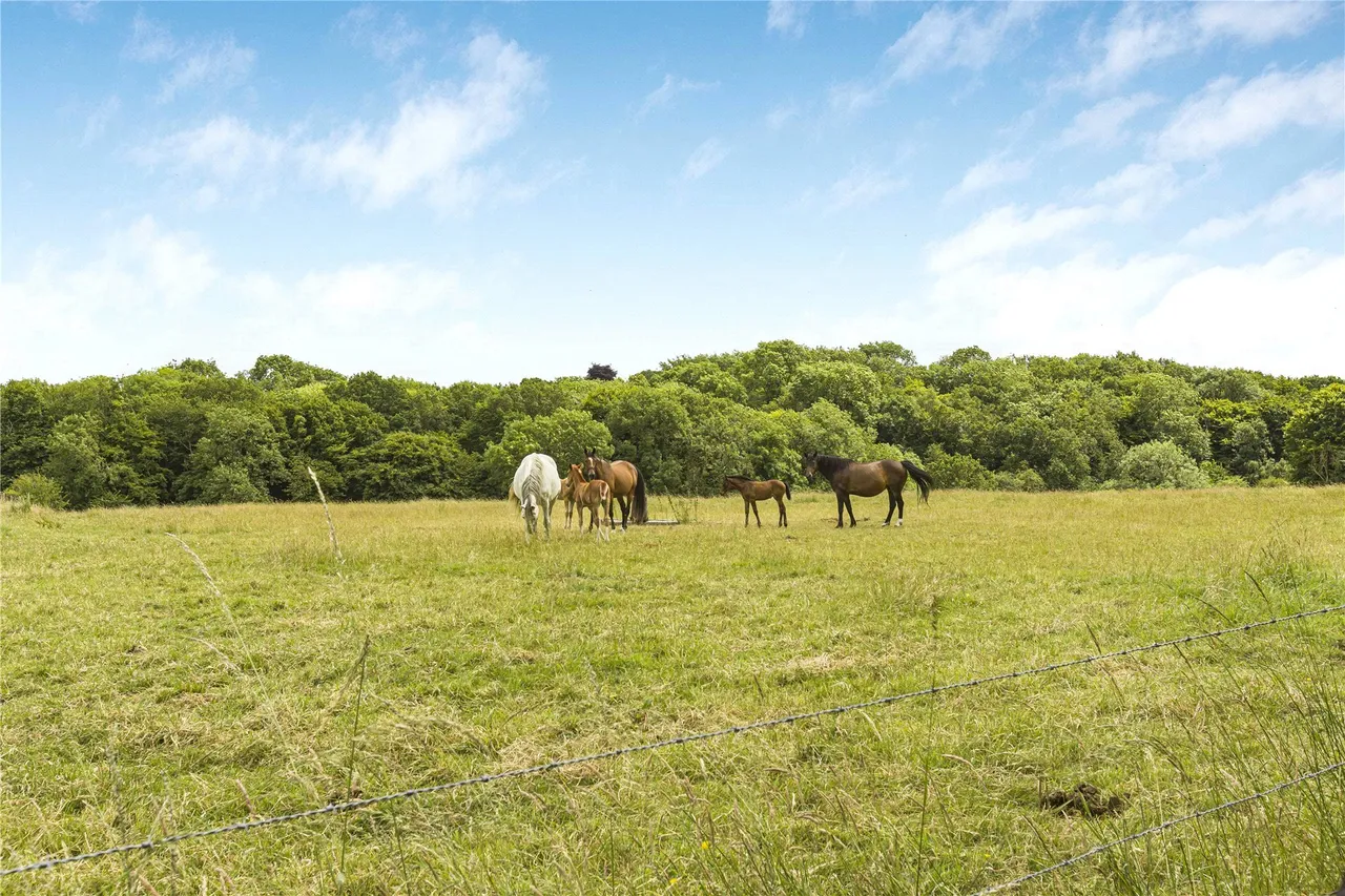 Sheepcote Dell Road, Holmer Green, HP15, photo 25