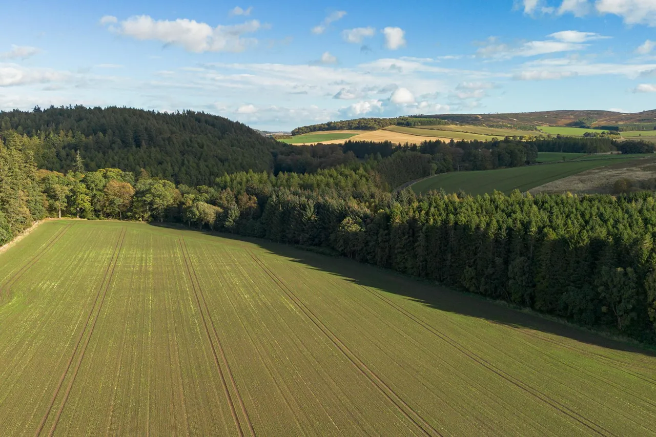 Charleston Village, Forfar, DD8, photo 26