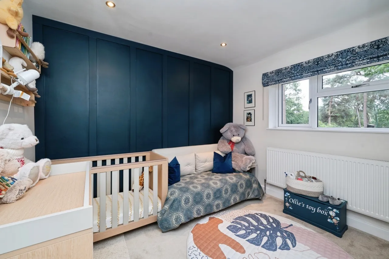 Albert Drive, Woking, GU21, photo 12