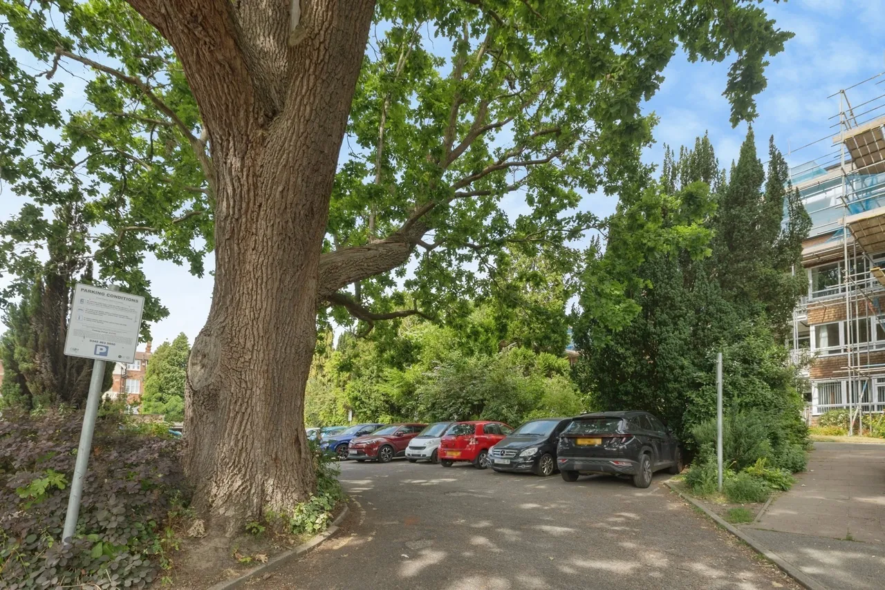 Chilston Road, Tunbridge Wells, TN4, photo 14
