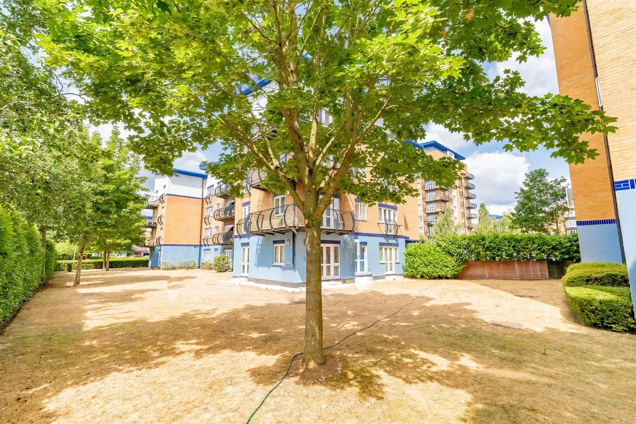 Napier Road, Reading, photo 12
