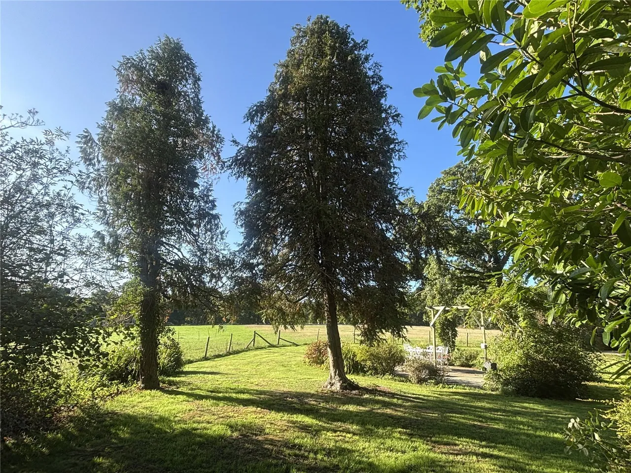 Stall House Lane, North Heath, RH20, photo 6