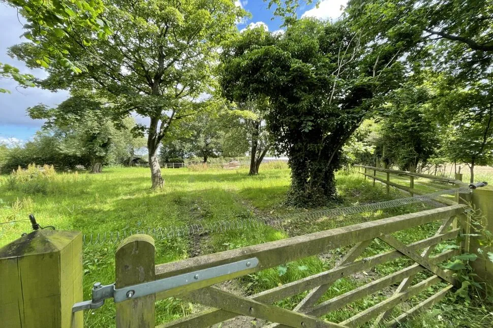 Longage Hill, Rhodes Minnis, CT4, photo 18
