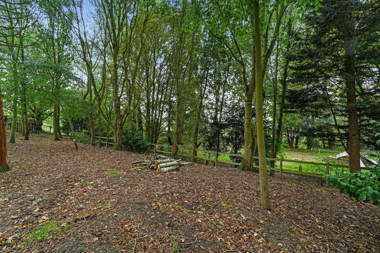 White Colne, Colchester, photo 40