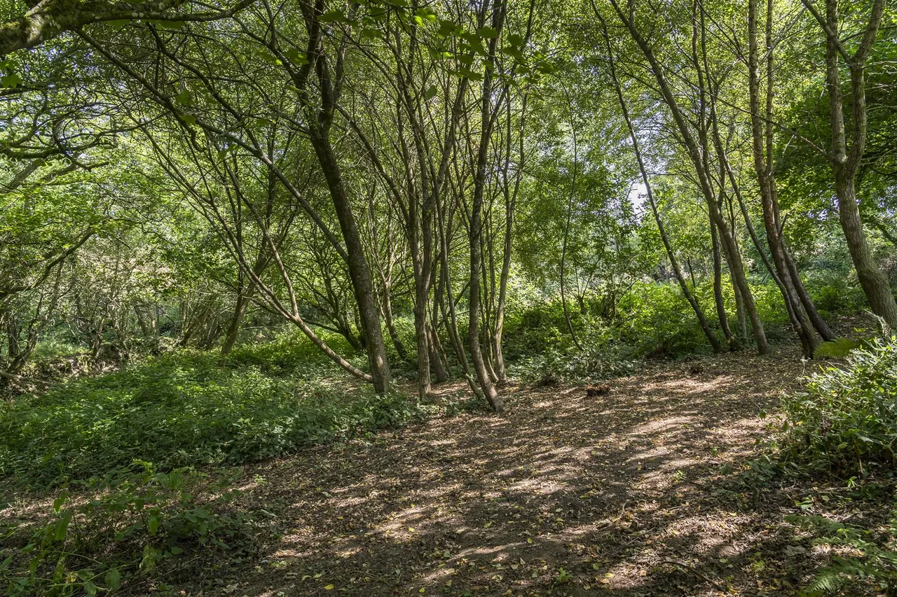 Penelewey, Truro, photo 25