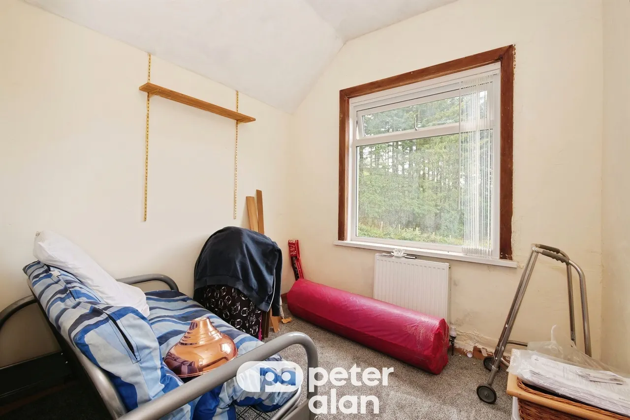 Percy Road, Port Talbot, SA13, photo 15