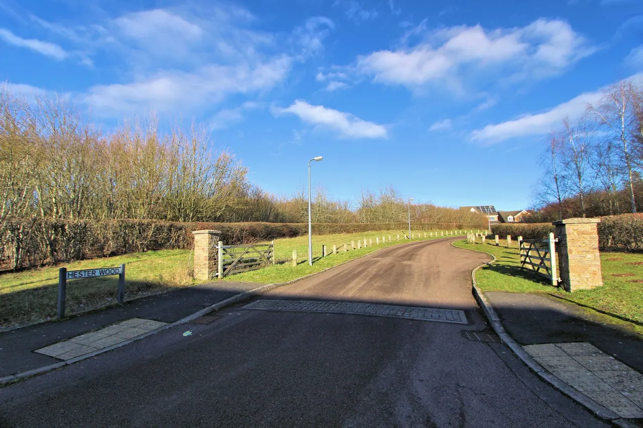 Hester Wood, Yate, photo 29