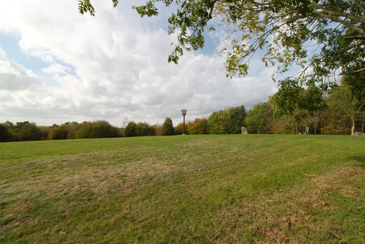 Hester Wood, Yate, photo 33