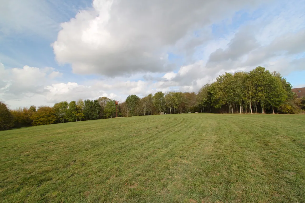 Hester Wood, Yate, photo 31