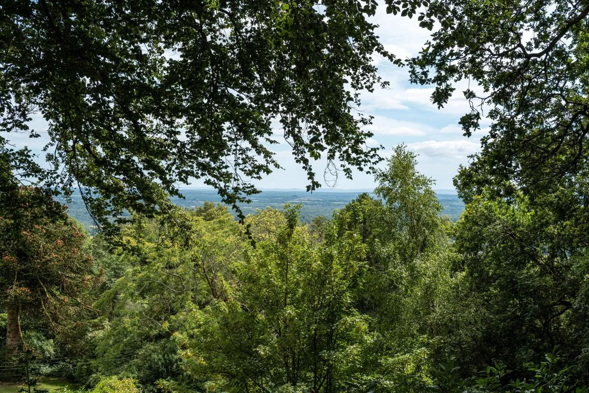 Campfield Place, Leith Hill, RH5, photo 34