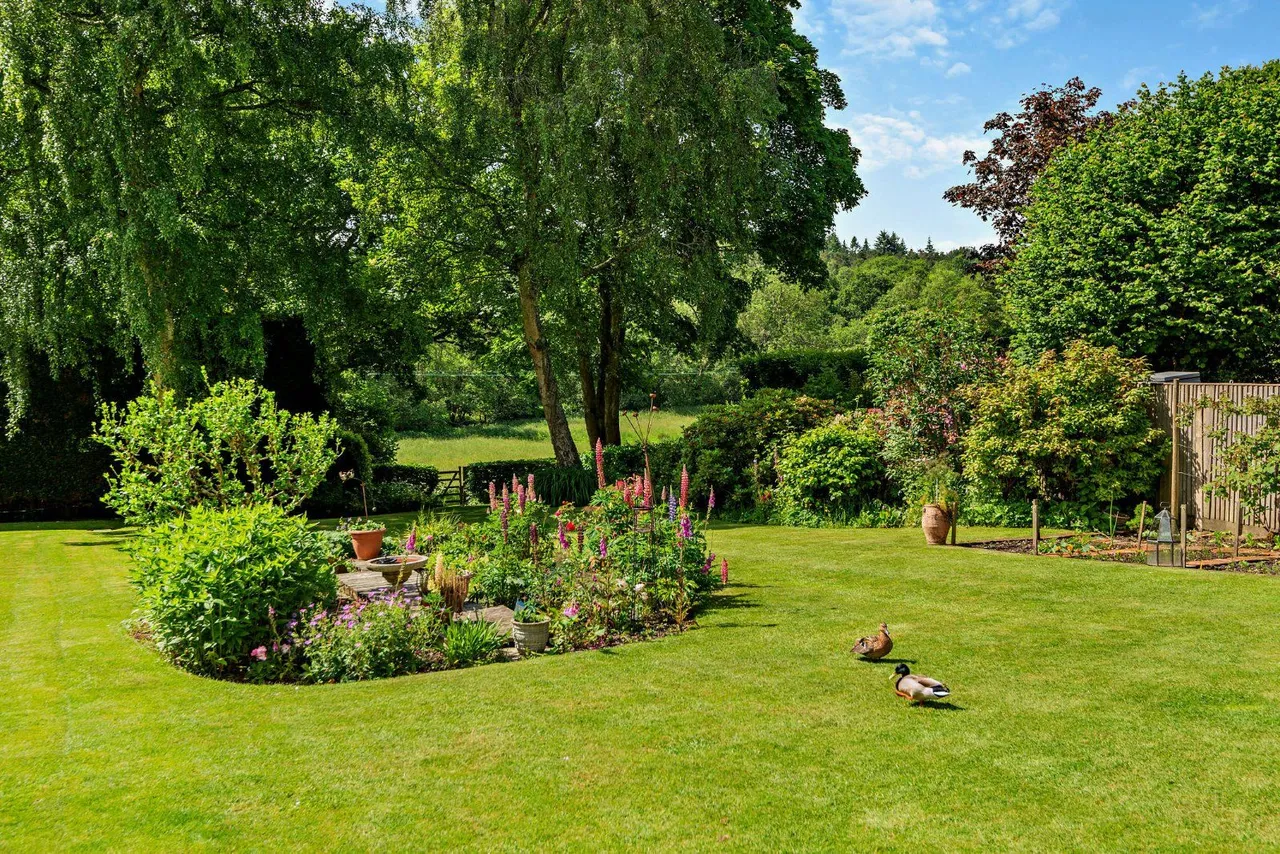 Bishops Green, Newbury, RG20, photo 9