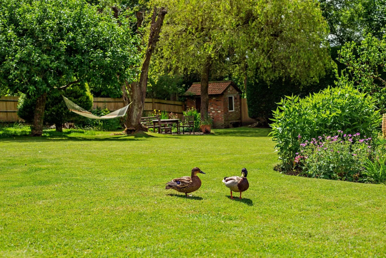Bishops Green, Newbury, RG20, photo 23